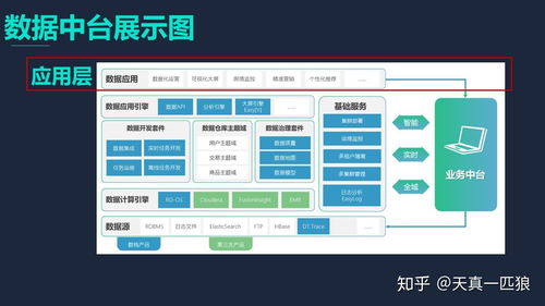 市面上常見的數據應用產品及公司