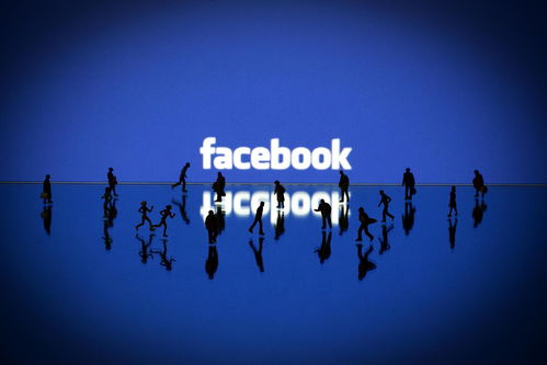 facebook的廣告業(yè)務(wù)表現(xiàn)難道只是看上去很美